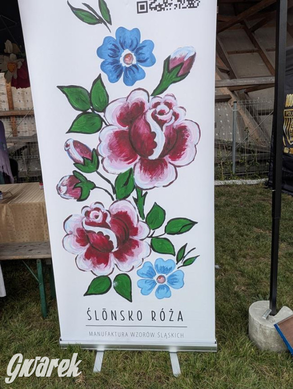 Pobili rekord Polski. Wśród uczestników także nasi reprezentanci