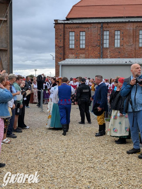 Pobili rekord Polski. Wśród uczestników także nasi reprezentanci