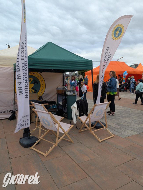 Pobili rekord Polski. Wśród uczestników także nasi reprezentanci