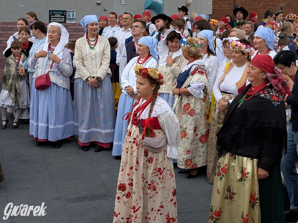 Pobili rekord Polski. Wśród uczestników także nasi reprezentanci