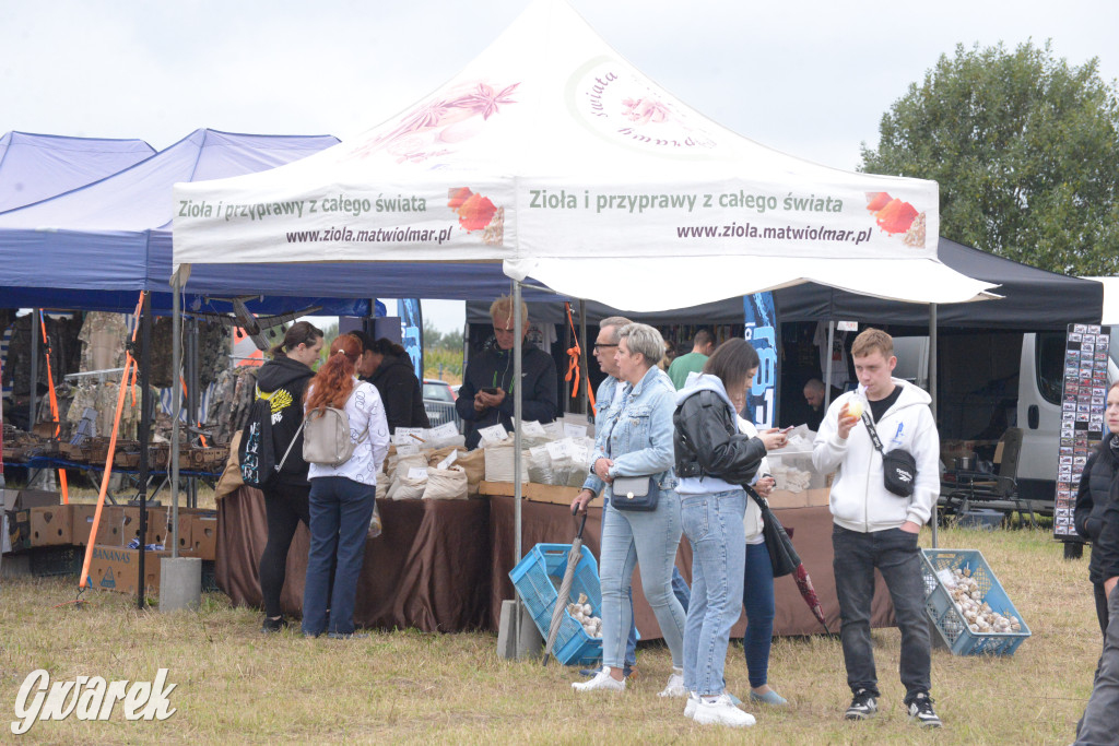 Tarnogórski Piknik Militarny z czołgiem Twardy