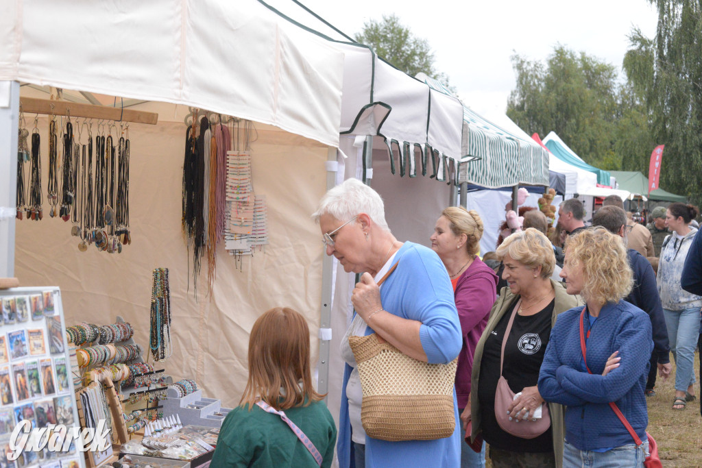 Tarnogórski Piknik Militarny z czołgiem Twardy