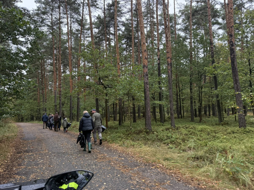 Pniowiec. Zebrali w lesie cztery kontenery śmieci