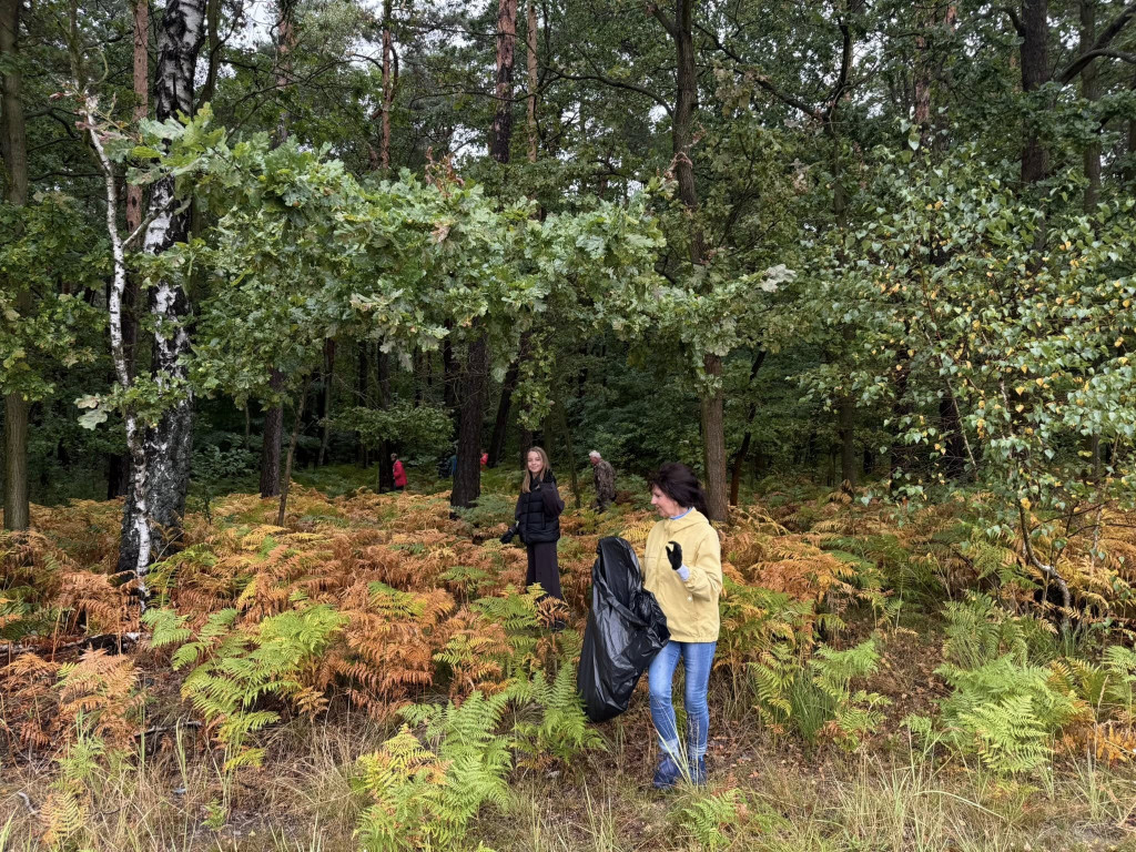 Pniowiec. Zebrali w lesie cztery kontenery śmieci
