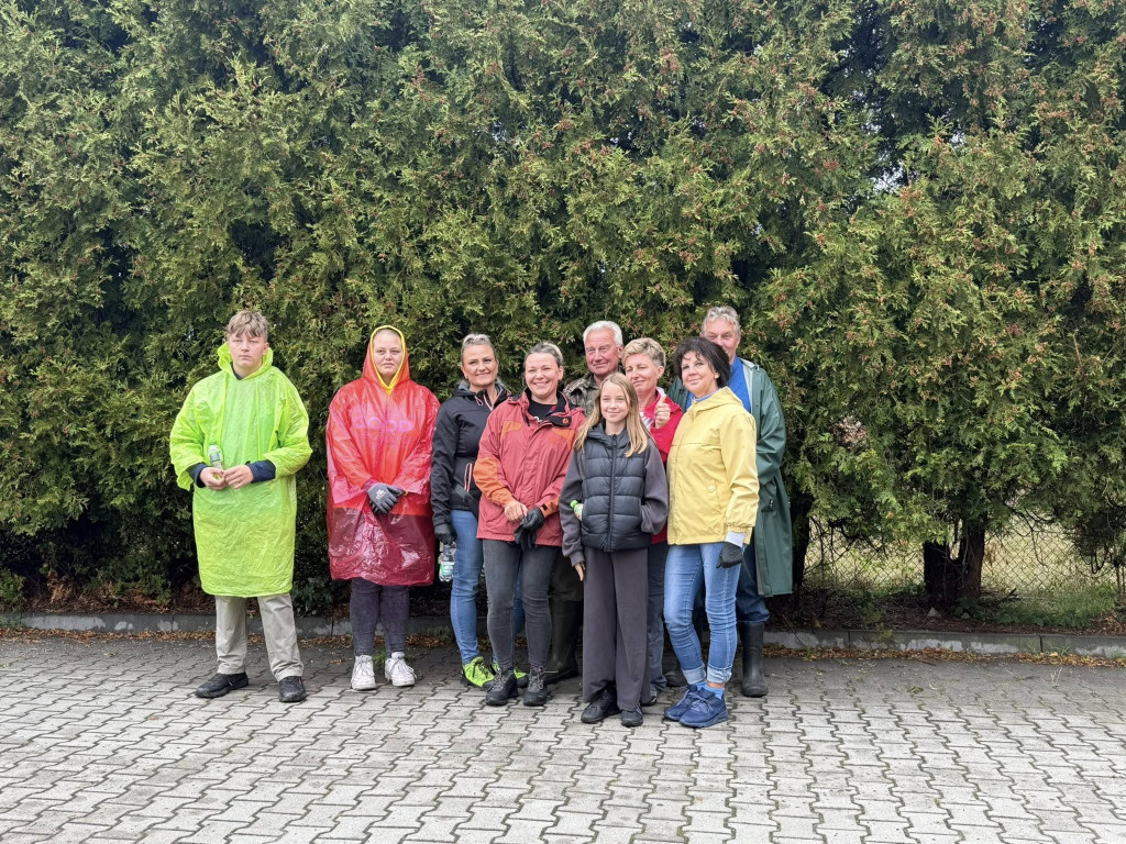 Pniowiec. Zebrali w lesie cztery kontenery śmieci