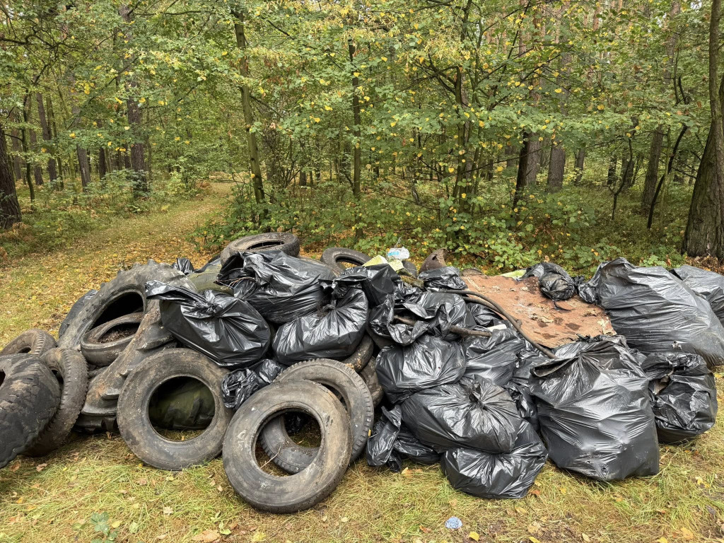Pniowiec. Zebrali w lesie cztery kontenery śmieci