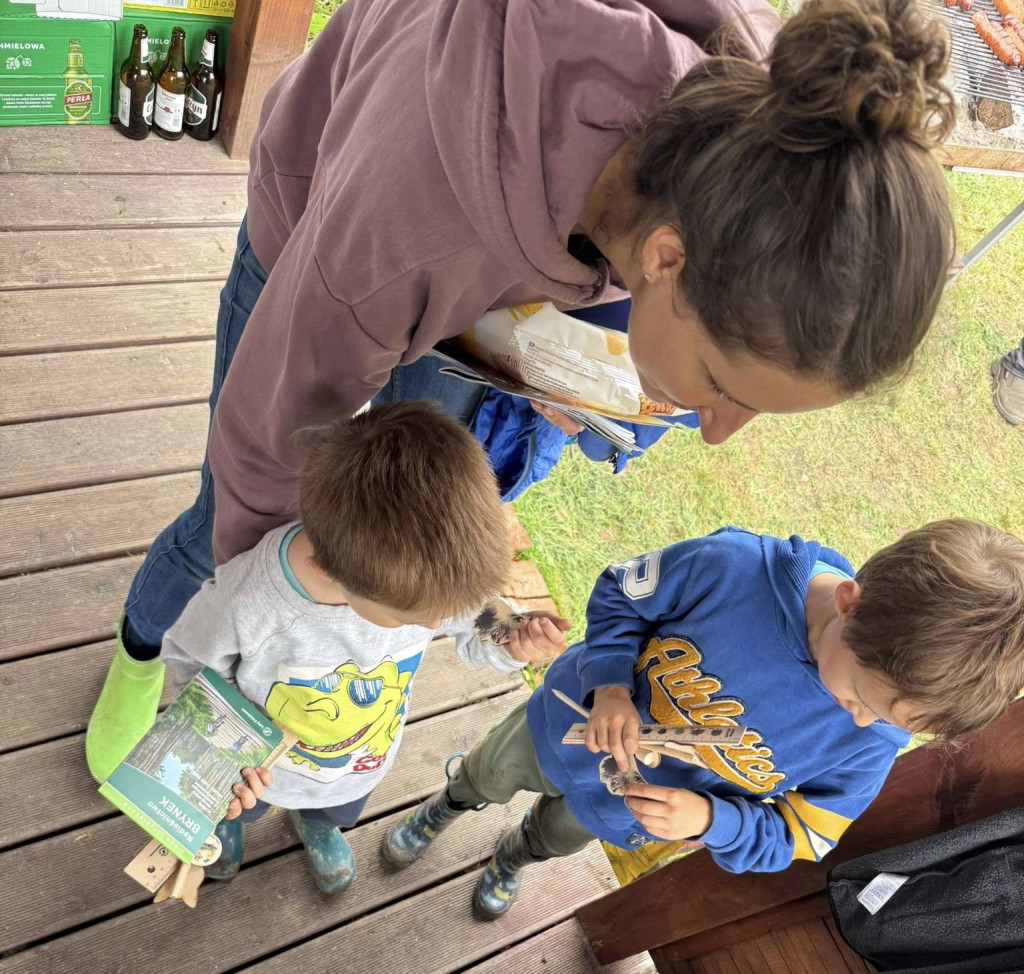 Pniowiec. Zebrali w lesie cztery kontenery śmieci