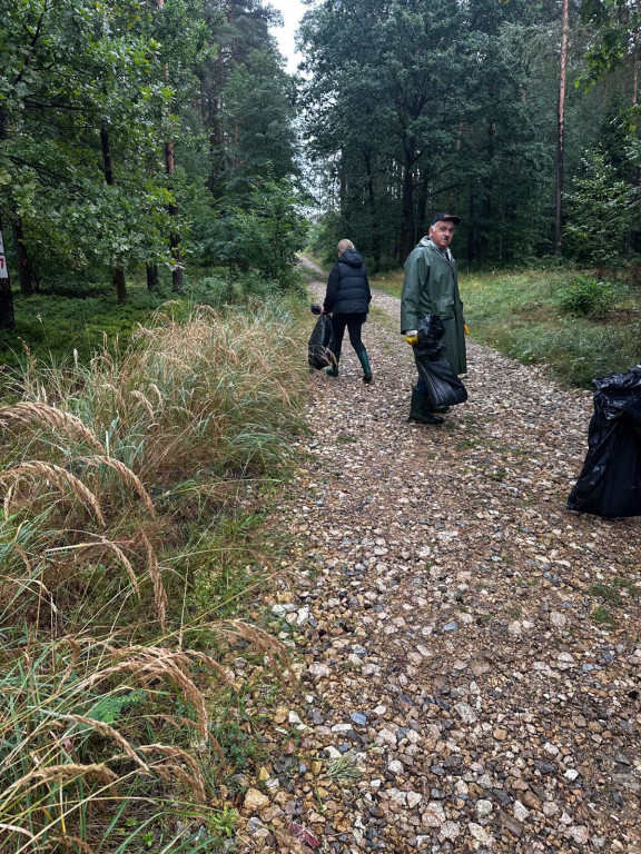 Pniowiec. Zebrali w lesie cztery kontenery śmieci