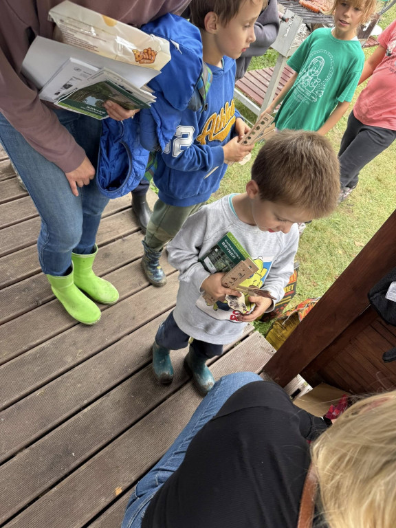 Pniowiec. Zebrali w lesie cztery kontenery śmieci