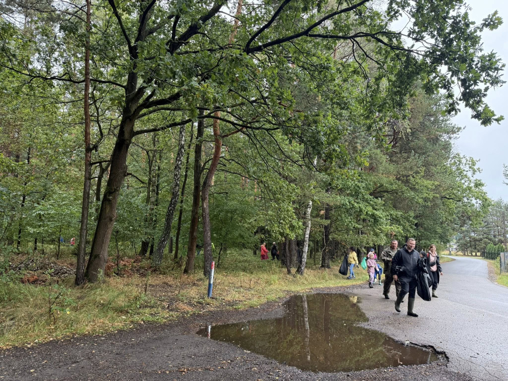 Pniowiec. Zebrali w lesie cztery kontenery śmieci