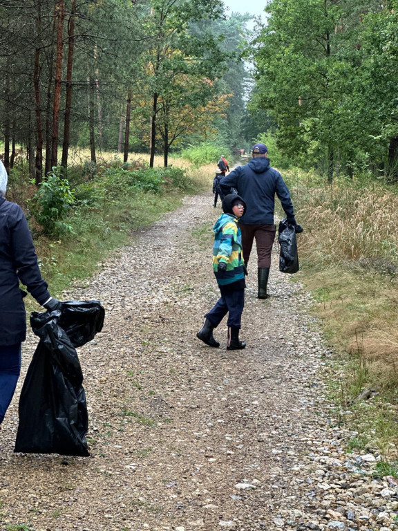 Pniowiec. Zebrali w lesie cztery kontenery śmieci