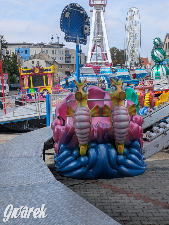 Karuzele już stoją. Gwarki tuż, tuż