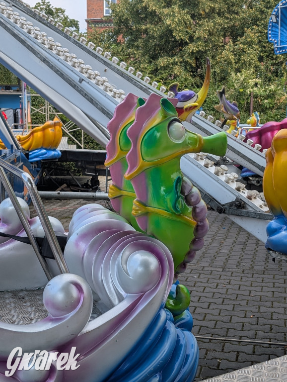 Karuzele już stoją. Gwarki tuż, tuż