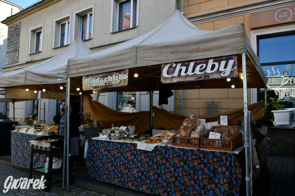 Gwarki na Krakowskiej, Tylnej i...