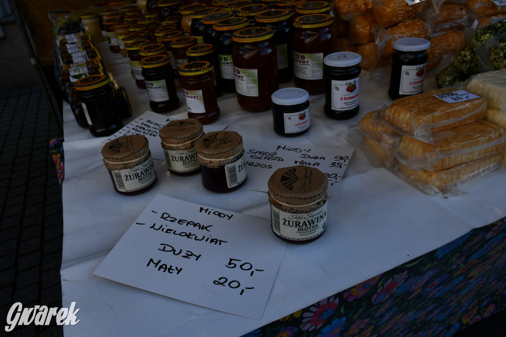 Gwarki na Krakowskiej, Tylnej i...