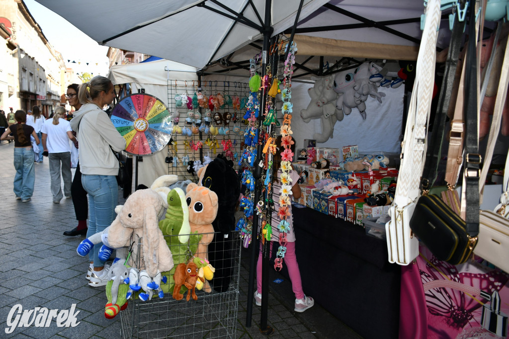 Gwarki na Krakowskiej, Tylnej i...