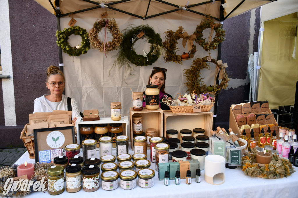 Gwarki na Krakowskiej, Tylnej i...