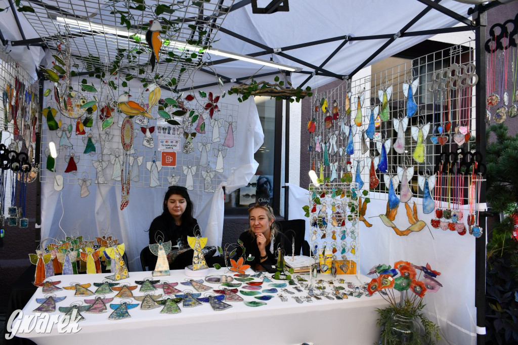 Gwarki na Krakowskiej, Tylnej i...