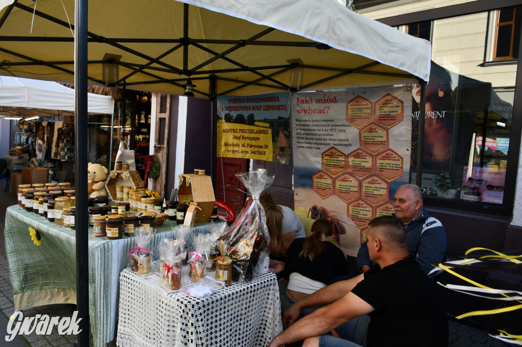 Gwarki na Krakowskiej, Tylnej i...