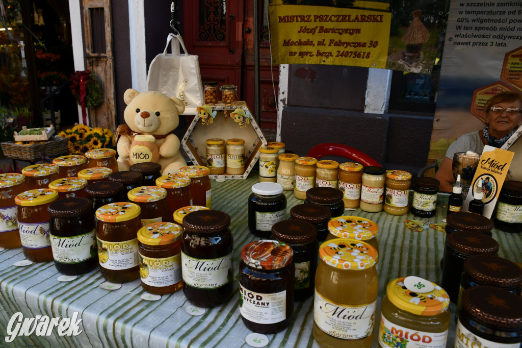 Gwarki na Krakowskiej, Tylnej i...