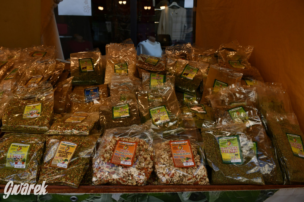 Gwarki na Krakowskiej, Tylnej i...