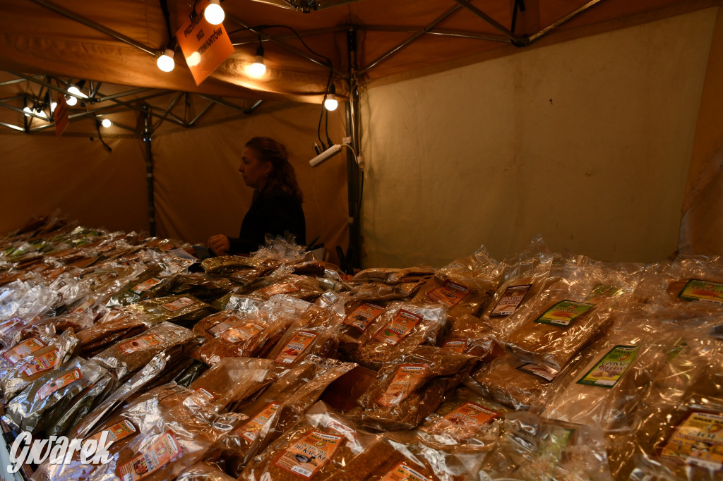 Gwarki na Krakowskiej, Tylnej i...