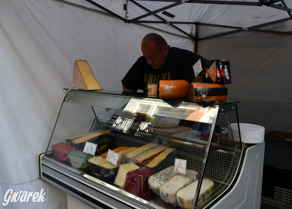 Gwarki na Krakowskiej, Tylnej i...