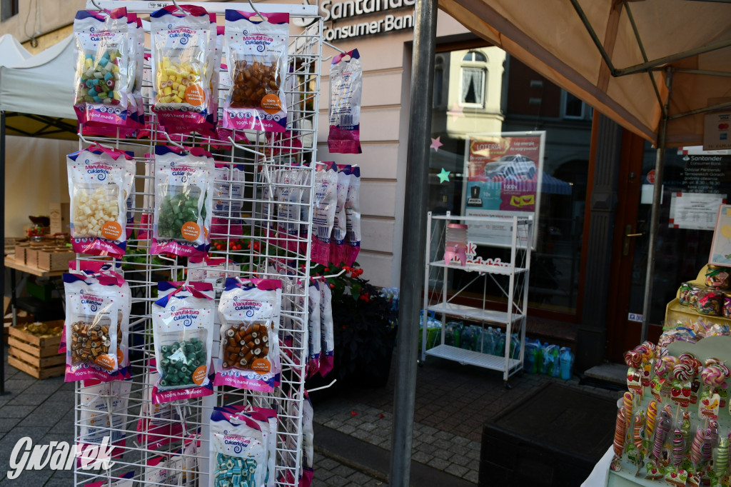 Gwarki na Krakowskiej, Tylnej i...