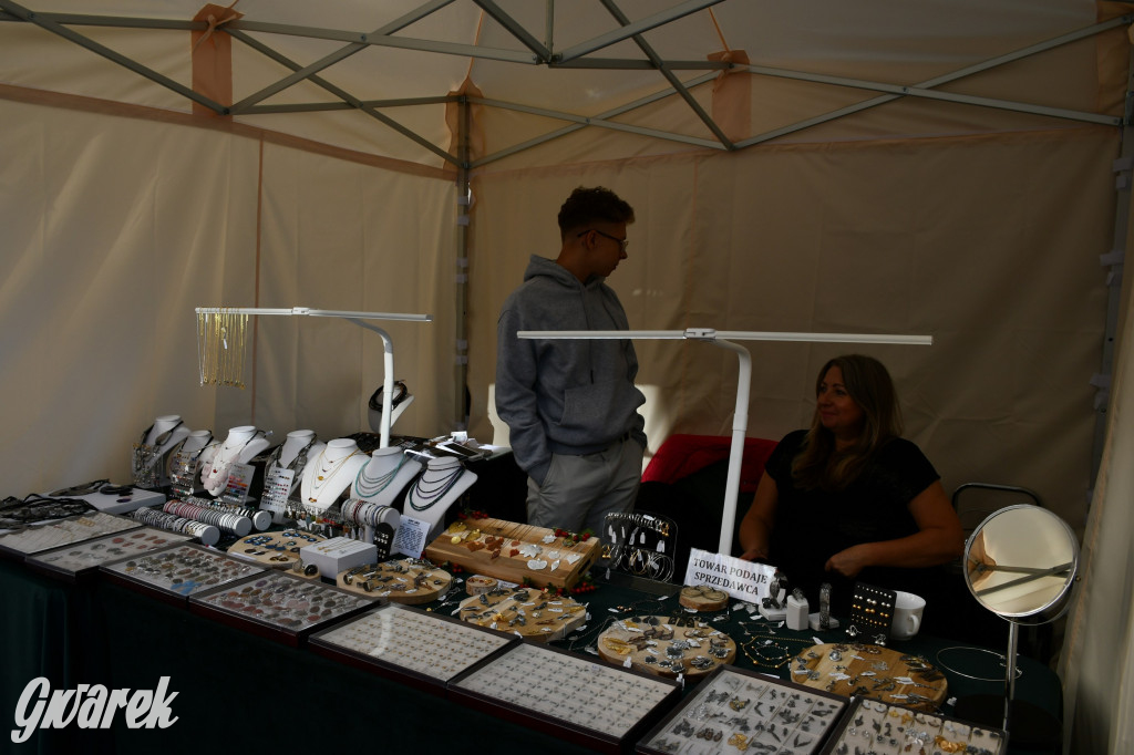 Gwarki na Krakowskiej, Tylnej i...