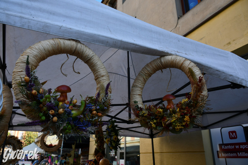 Gwarki na Krakowskiej, Tylnej i...