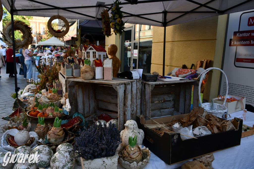 Gwarki na Krakowskiej, Tylnej i...