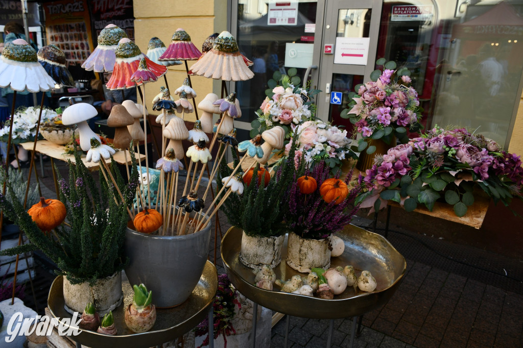 Gwarki na Krakowskiej, Tylnej i...