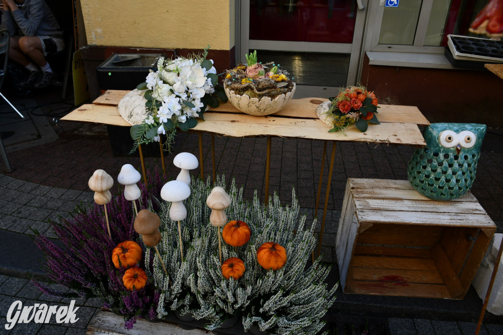 Gwarki na Krakowskiej, Tylnej i...