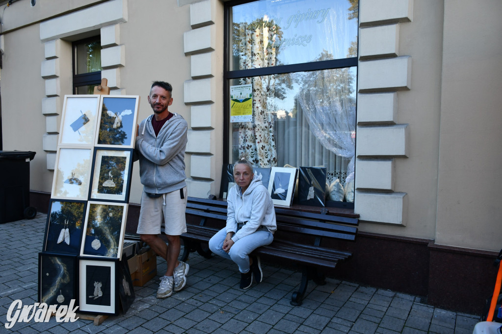 Gwarki na Krakowskiej, Tylnej i...