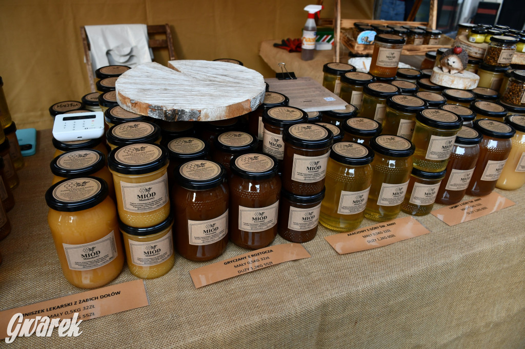 Gwarki na Krakowskiej, Tylnej i...