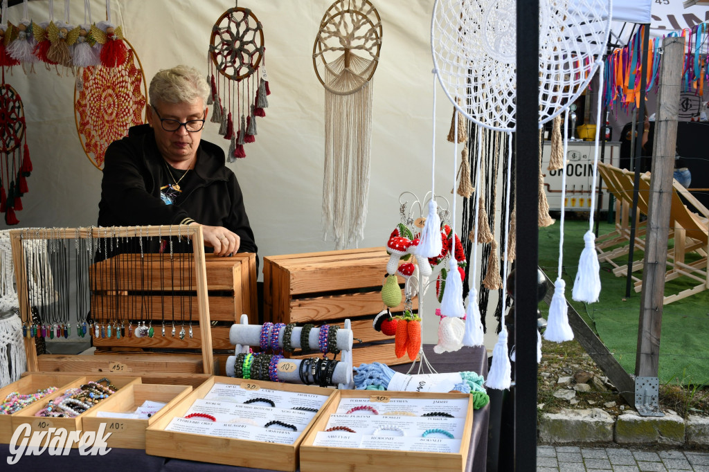 Gwarki na Krakowskiej, Tylnej i...