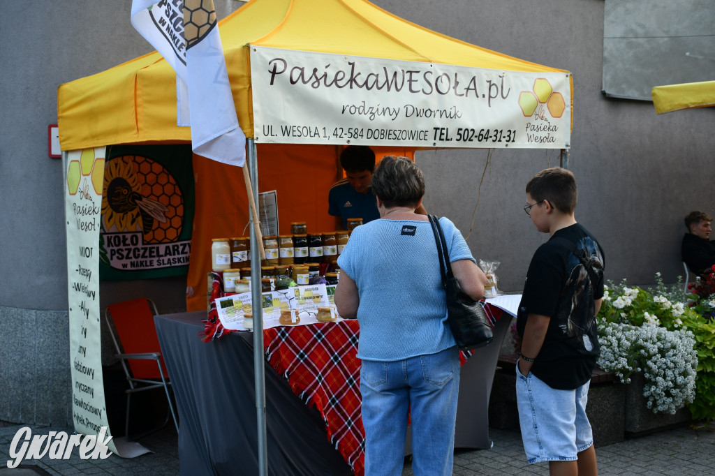 Gwarki na Krakowskiej, Tylnej i...