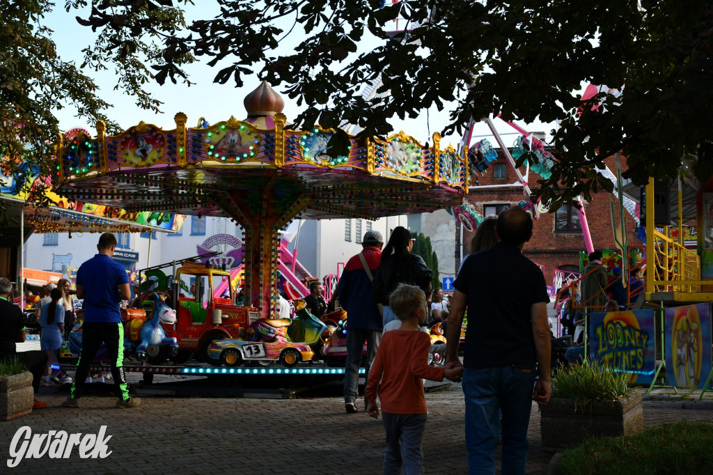 Gwarki na Krakowskiej, Tylnej i...