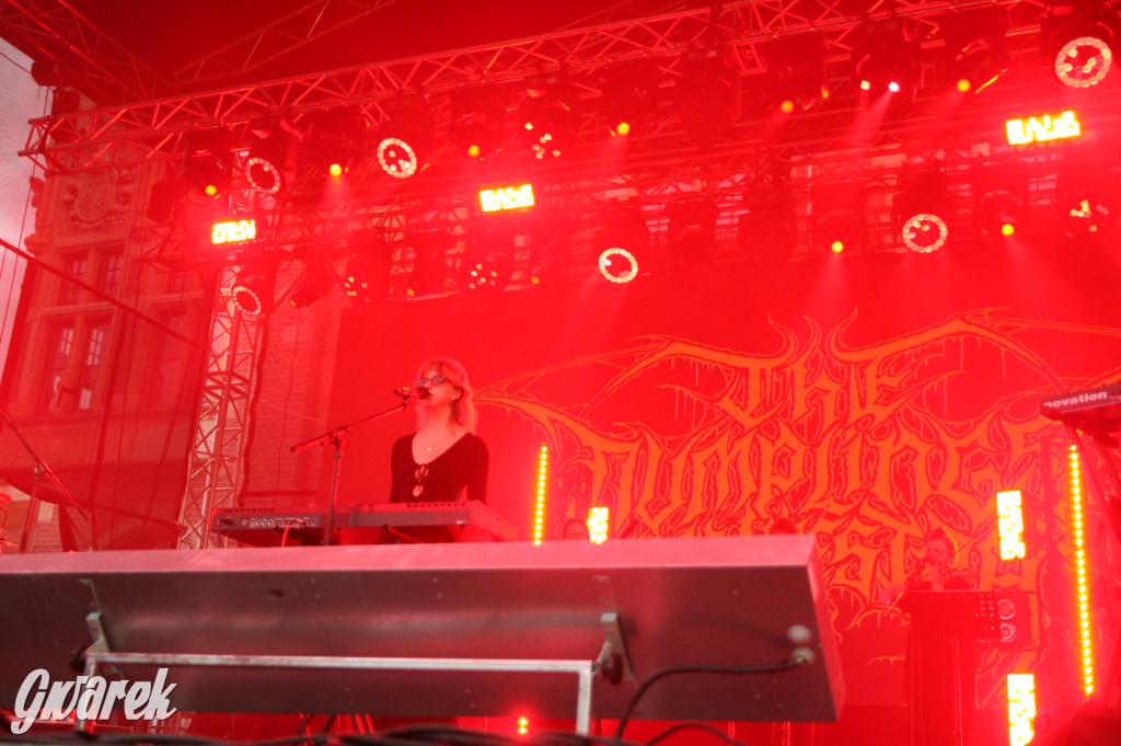 The Dumplings Orkiestra w Tarnowskich Górach. Gwarki 2025