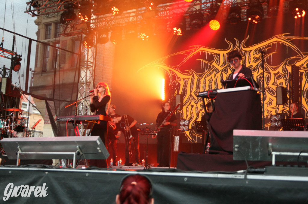 The Dumplings Orkiestra w Tarnowskich Górach. Gwarki 2025