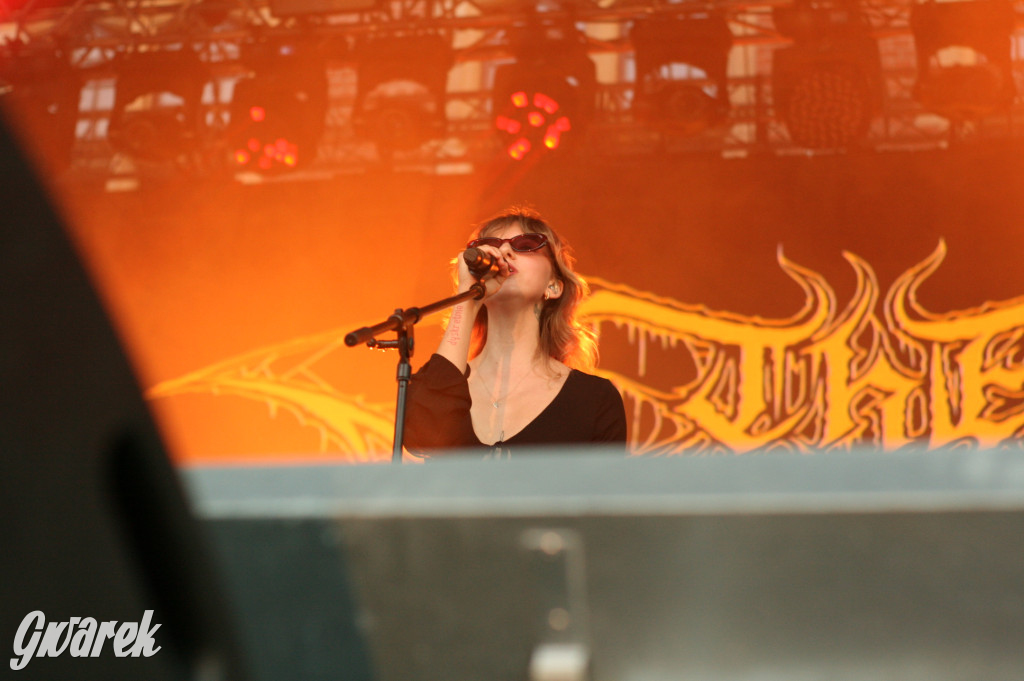 The Dumplings Orkiestra w Tarnowskich Górach. Gwarki 2025