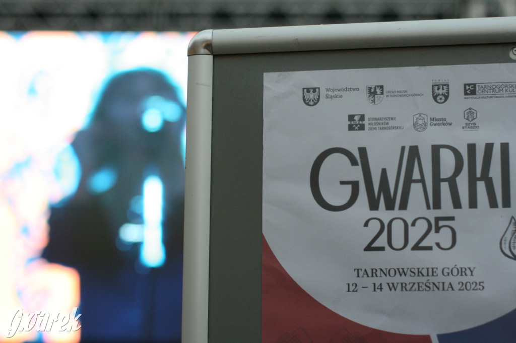 The Dumplings Orkiestra w Tarnowskich Górach. Gwarki 2025
