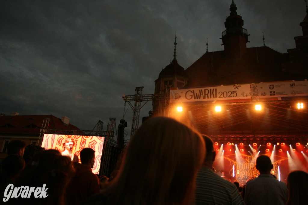 The Dumplings Orkiestra w Tarnowskich Górach. Gwarki 2025