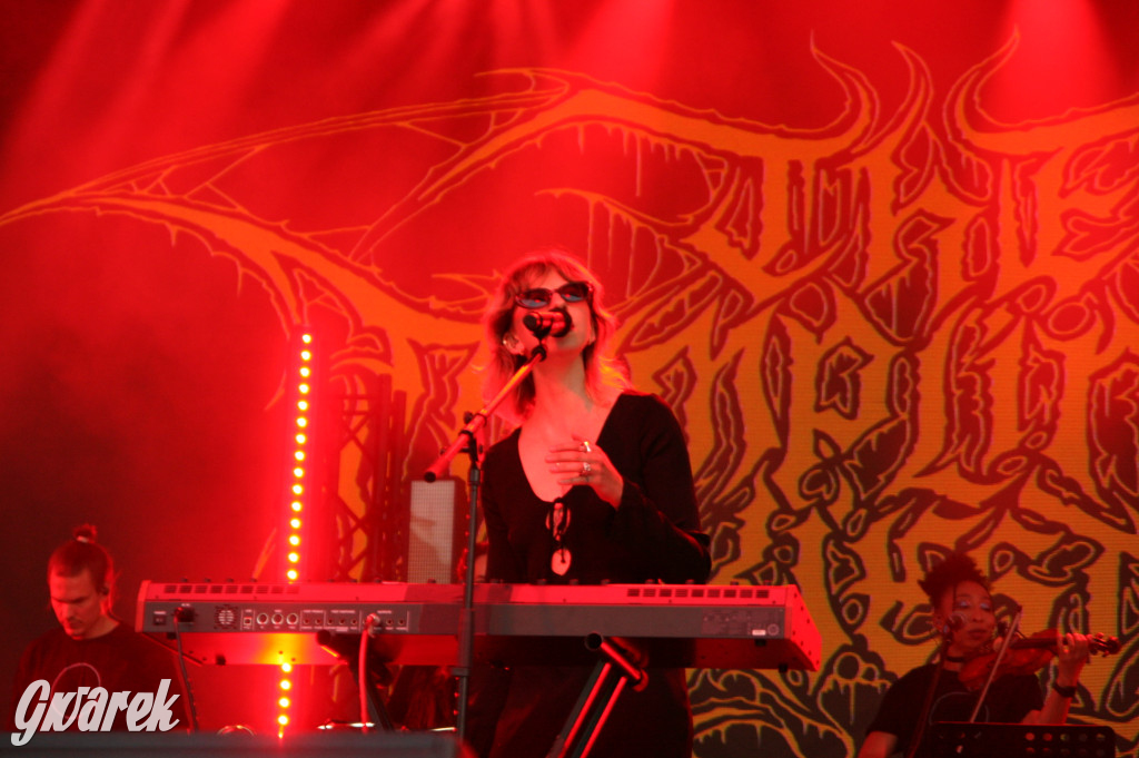 The Dumplings Orkiestra w Tarnowskich Górach. Gwarki 2025