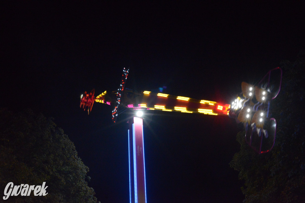 Gwarki 2025. Ile kosztują karuzele?