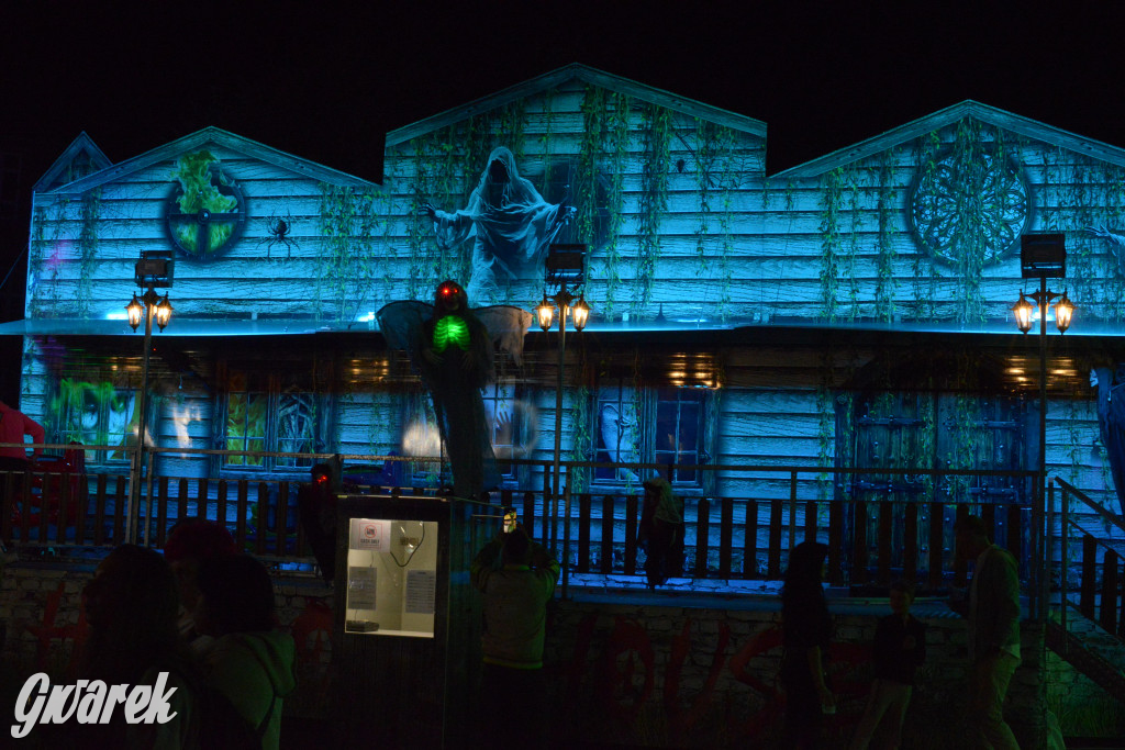 Gwarki 2025. Ile kosztują karuzele?