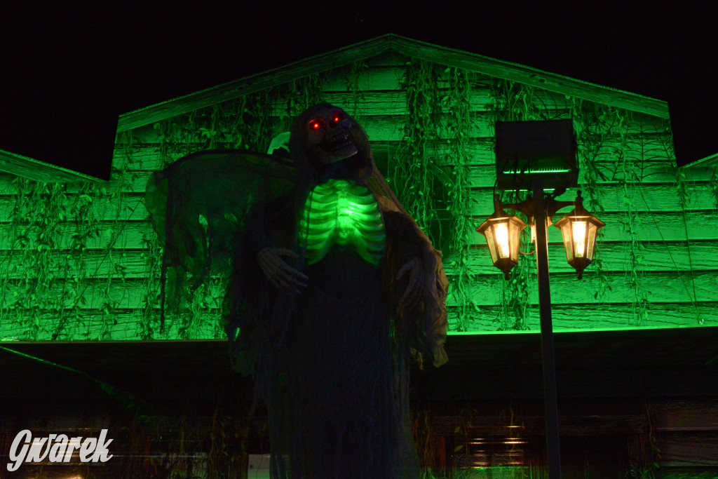 Gwarki 2025. Ile kosztują karuzele?