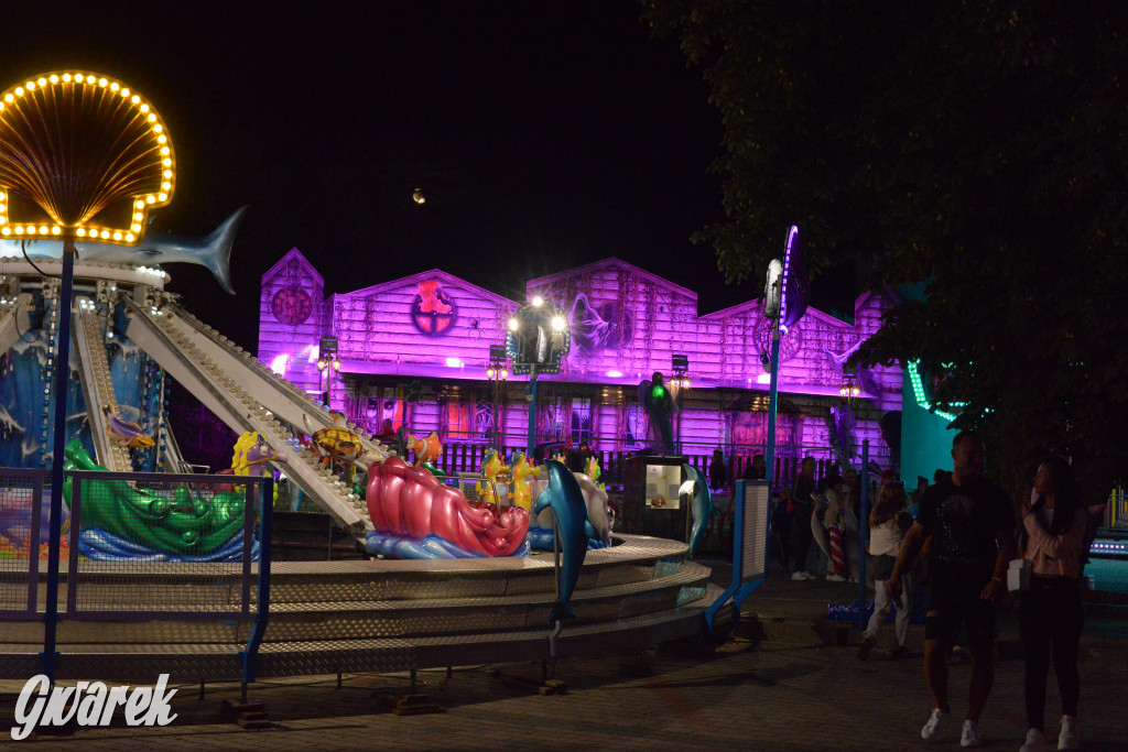 Gwarki 2025. Ile kosztują karuzele?