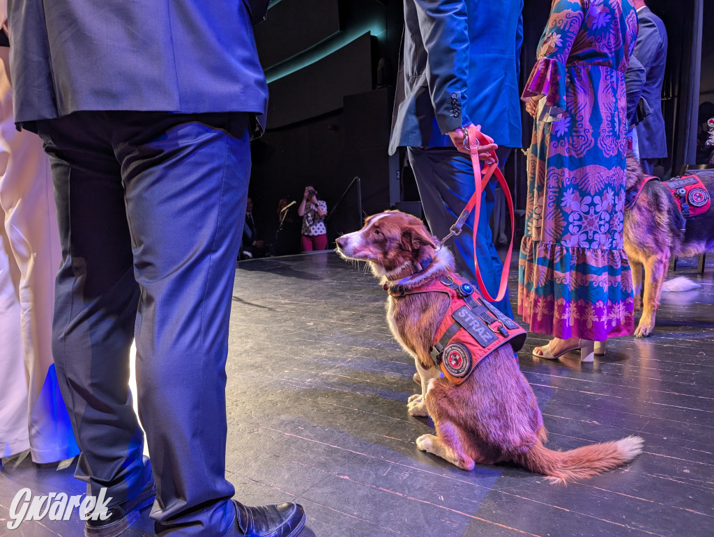 Radzionków. Orzech. Wręczenie nagród Orła i Róży