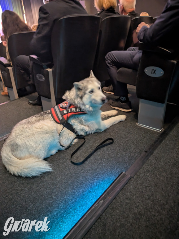 Radzionków. Orzech. Wręczenie nagród Orła i Róży